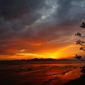 亚洲第九十七页
